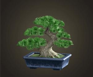 《动物森友会》园艺店秘籍：灌木种植技巧