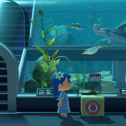 《动物森友会》地球日活动心得与任务攻略 《动物森友会》地球日活动心得与任务攻略