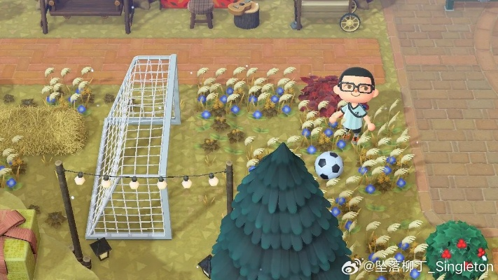 《动物森友会》足球场设计图曝光 《动物森友会》足球场设计图曝光