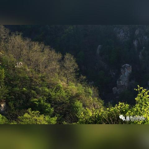 《如龙7》全资格考试答案速查 《如龙7》全资格考试答案速查