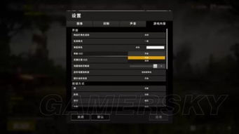 绝地求生FPP模式玩法攻略