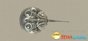 《尼尔机械纪元》鱼类图鉴分布地点 《尼尔机械纪元》鱼类图鉴分布地点