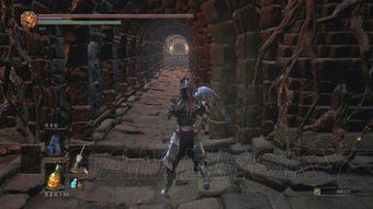 《黑暗之魂3》小苍解说：流程娱乐视频