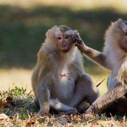 《黑暗之魂3》战斗技巧与入侵任务攻略视频 《黑暗之魂3》战斗技巧与入侵任务攻略视频