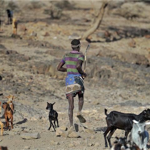 《饥荒》新手搭建家园攻略:新手家园建设核心技巧 《饥荒》新手搭建家园攻略:新手家园建设核心技巧