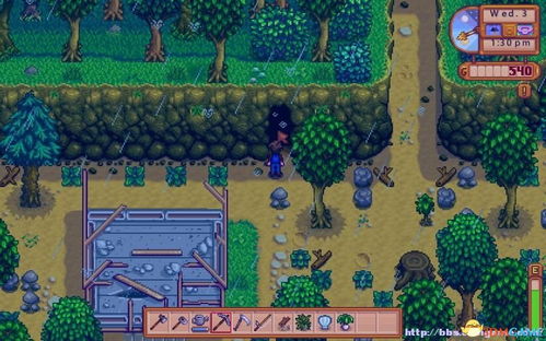 星露谷物语农场入门攻略解析