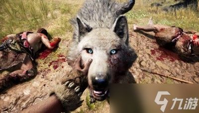 《孤岛惊魂原始杀戮》剑齿虎、美洲豹稀有野兽藏匿地点