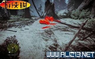 《孤岛惊魂原始杀戮》奖杯攻略视频