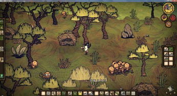 《饥荒》海难新手攻略：新手必看生存流程