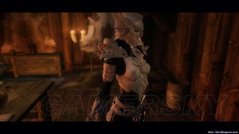 上古卷轴5 MOD下载合集第三弹 上古卷轴5 MOD下载合集第三弹