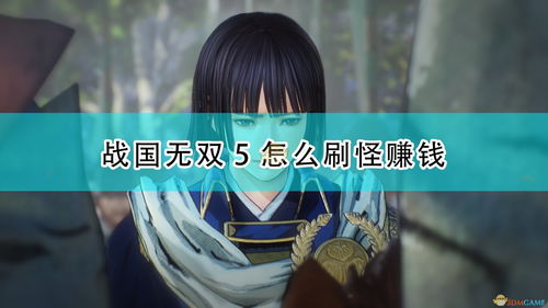 战国无双刀攻略心得分享