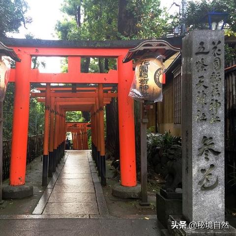 《刺客信条影》寺院神社全搜集指南 寺院神社收集点解析 《刺客信条影》寺院神社全搜集指南 寺院神社收集点解析