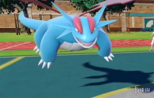 宝可梦朱紫12月9日班基拉斯VS暴飞龙太晶团体战