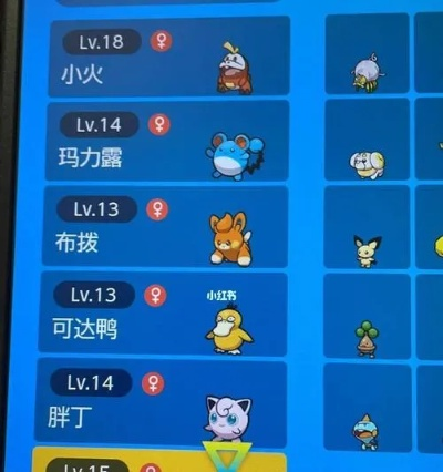 宝可梦朱紫六星团战队伍攻略分享 宝可梦朱紫六星团战队伍攻略分享