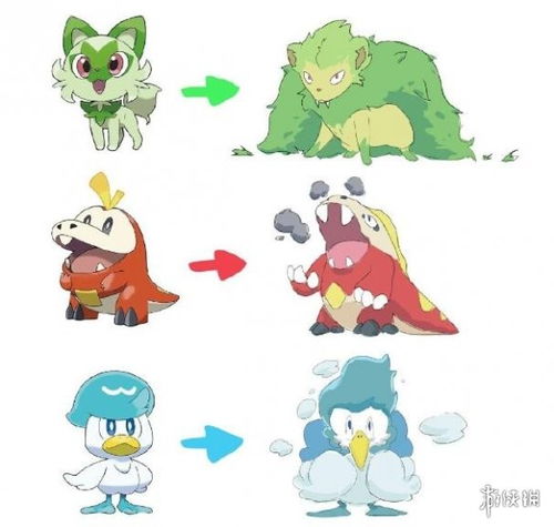 宝可梦朱紫御三家个体值性格刷闪攻略 宝可梦朱紫御三家个体值性格刷闪攻略