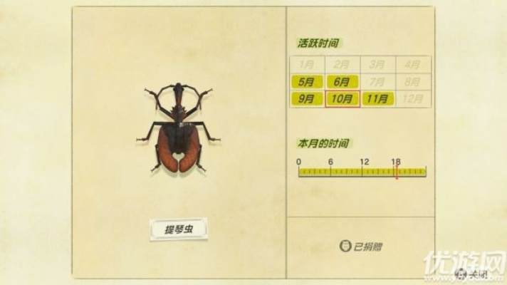 动物森友会五月生态指南，昆虫活跃季全解析