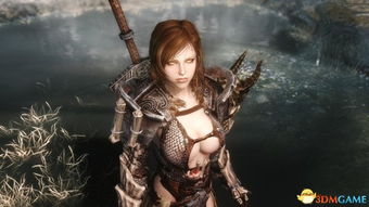 《上古卷轴5》随从制作攻略 《上古卷轴5》随从制作攻略