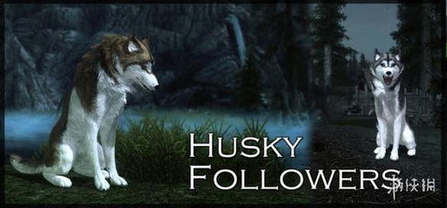 《上古卷轴5》随从制作攻略 《上古卷轴5》随从制作攻略