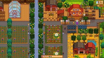 星露谷物语农场地图攻略解析
星露谷物语沙漠探险指南
星露谷物语城镇布局深度解析