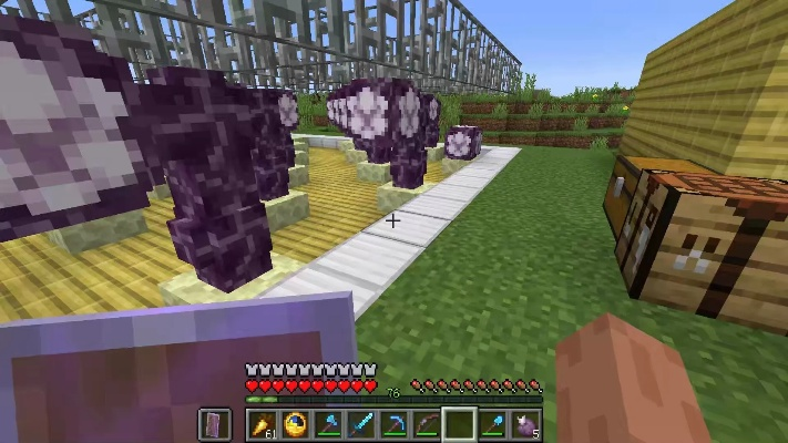 《我的世界》紫颂果农场建造攻略 《我的世界》紫颂果农场建造攻略