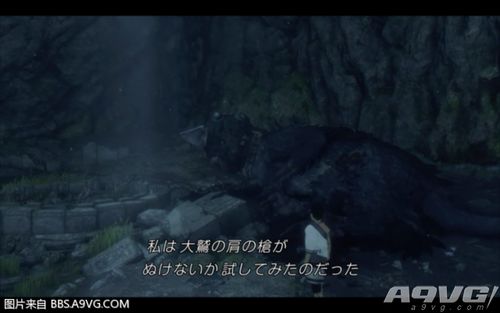 《最后的守护者》全奖杯攻略 《最后的守护者》全奖杯攻略