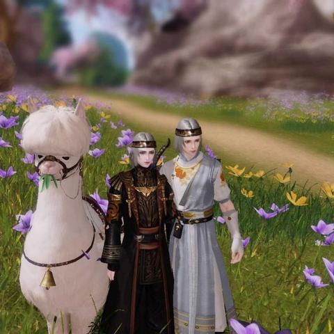 魔兽世界羊驼坐骑上线，速来体验，错过再等6周