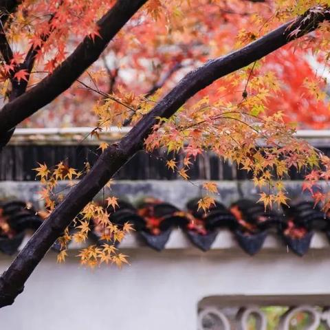 《开放空间》水上楼阁100%攻略 水上楼阁全目标收集