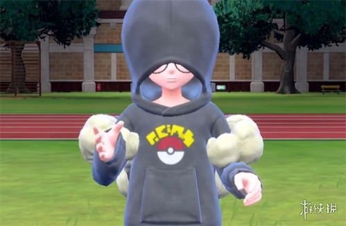 《宝可梦朱紫》双打土龙节队配攻略 《宝可梦朱紫》双打土龙节队配攻略