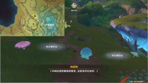 原神纳西妲秘境宝箱收集攻略 原神纳西妲秘境宝箱收集攻略