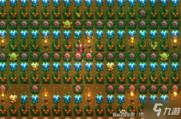 地心护核者强力食物推荐