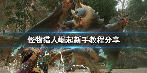《怪物猎人崛起》新手猎人开荒利器推荐 《怪物猎人崛起》新手猎人开荒利器推荐