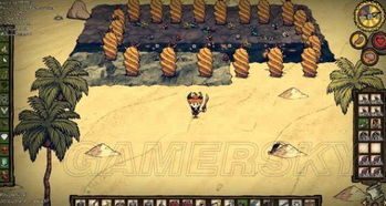 《饥荒》种植攻略：高效培育巨大作物技巧