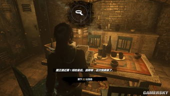 《古墓丽影崛起》血缘DLC攻略：全收集图文详解