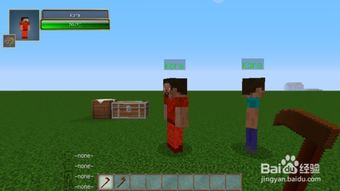 《Minecraft NPCMOD图文教程》核心玩法解析 《Minecraft NPCMOD图文教程》核心玩法解析
