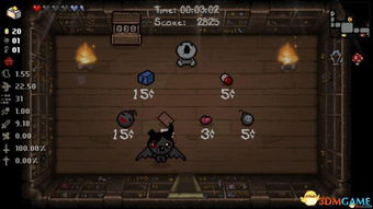 《以撒的结合胎衣》道具图鉴大全