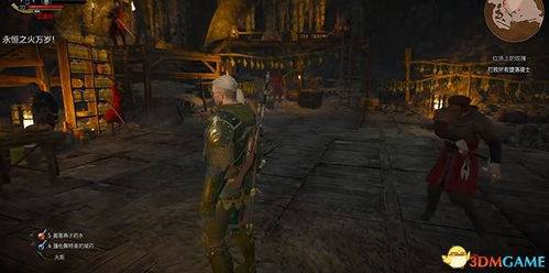 巫师3石之心图文攻略 全流程攻略 巫师3石之心图文攻略 全流程攻略