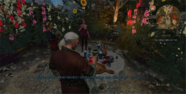 巫师3石之心DLC攻略视频,全流程解说 巫师3石之心DLC攻略视频,全流程解说