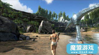 《方舟生存进化》攻略：部落建筑、驯龙、宠物洞窟系统详解