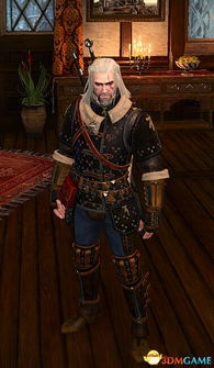 巫师3猫学派天赋技能加点攻略