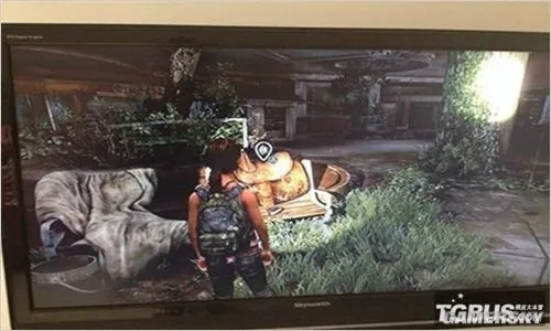 美国末日DLC掉队全收集品图文攻略