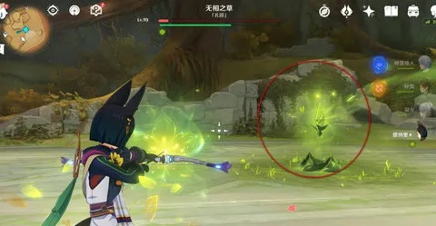 原神3.2无相之草位置揭秘