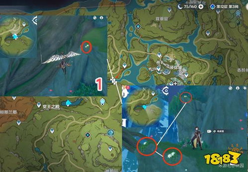 原神纳西妲劫波莲采集路线攻略