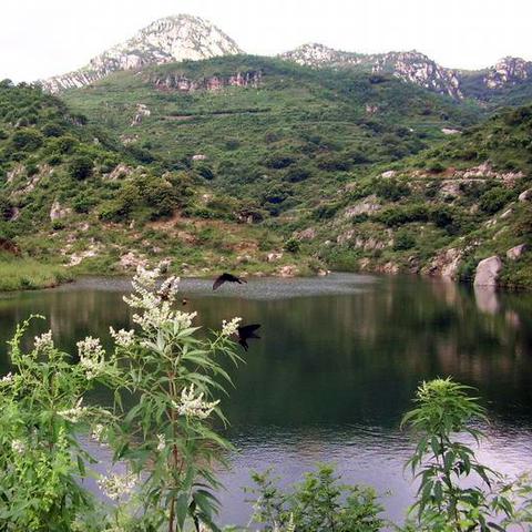 《喷射战士3》洗衣机攻略:玩法解析及优缺点剖析 《喷射战士3》洗衣机攻略:玩法解析及优缺点剖析