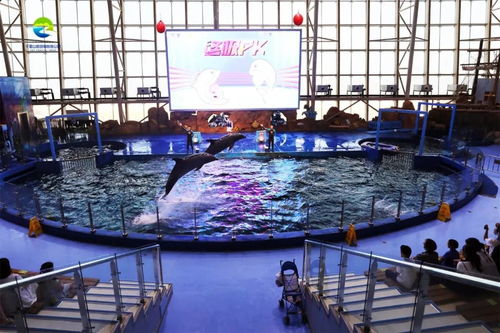 《我的世界》海洋版本更新：全新海洋探险之旅