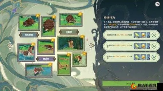 原神掠影拾真全关卡攻略解析 原神掠影拾真全关卡攻略解析