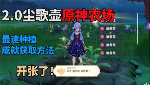 《原神》尘歌壶幻梦门扉摆设获取攻略 3.0版兰那罗摆设获取方法 《原神》尘歌壶幻梦门扉摆设获取攻略 3.0版兰那罗摆设获取方法