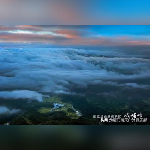 《山海奇花异草收集之旅》 《山海奇花异草收集之旅》