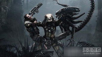 《铁血战士:杀戮之巅》预告首曝,尺度震撼 《铁血战士:杀戮之巅》预告首曝,尺度震撼