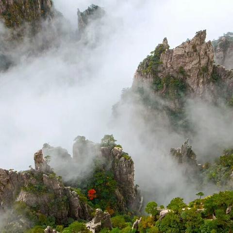 大话西游手游醉卧云海新服4月11日盛大开启 大话西游手游醉卧云海新服4月11日盛大开启