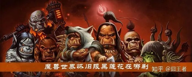 魔兽世界暴雪打击黑莲花价格失败，玩家仍难负担